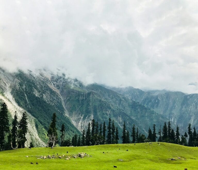 Kashmir 4 Nights 5 Days Package