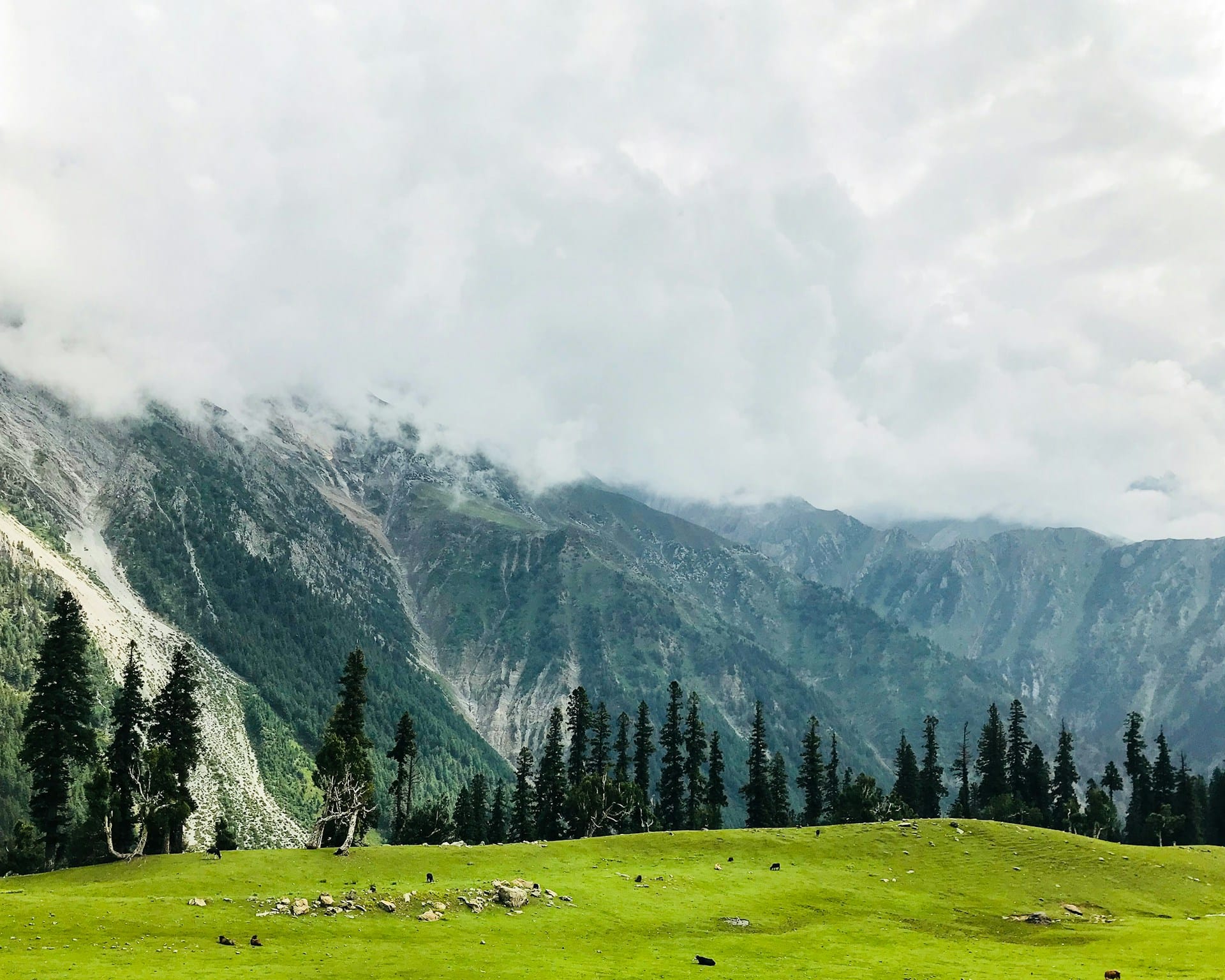 Kashmir 4 Nights 5 Days Package
